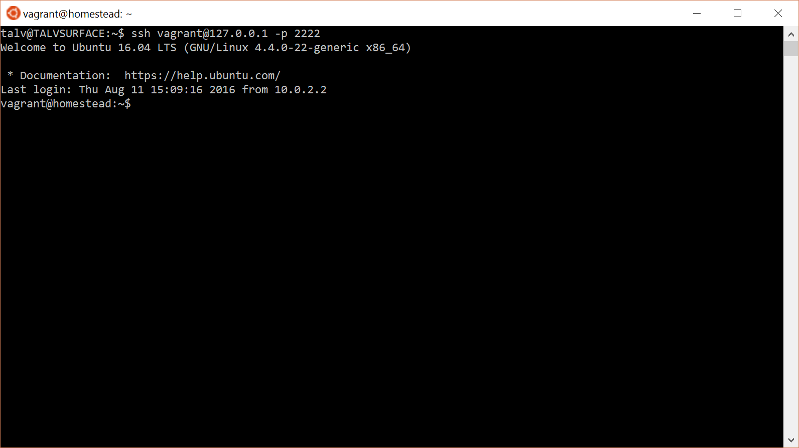 04.ssh-into-homestead.png